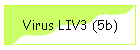Virus LIV3 (5b)